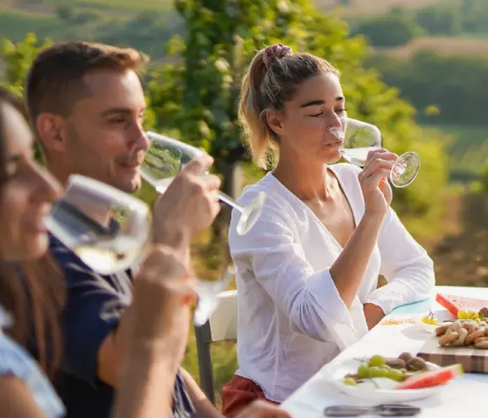 Diplomado en Servicio, Cultura y Experiencia del Vino