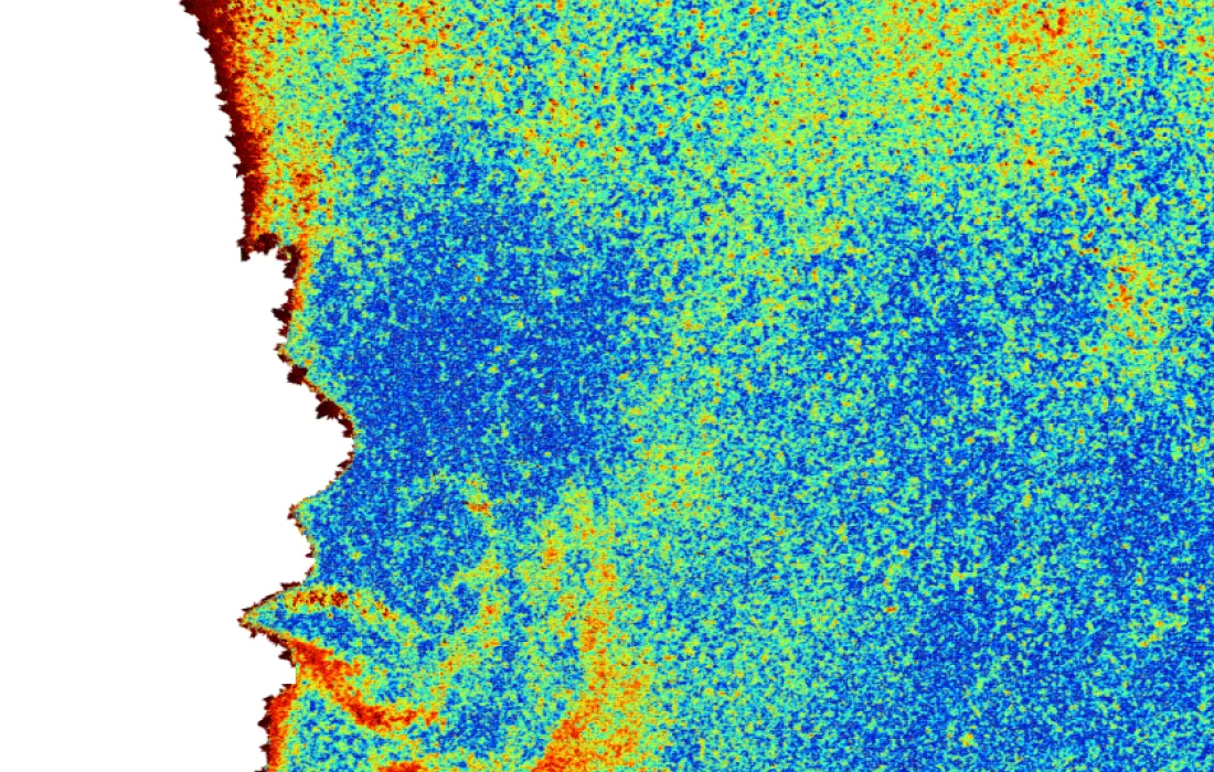 Consultoría ambiental Consultoría ambiental