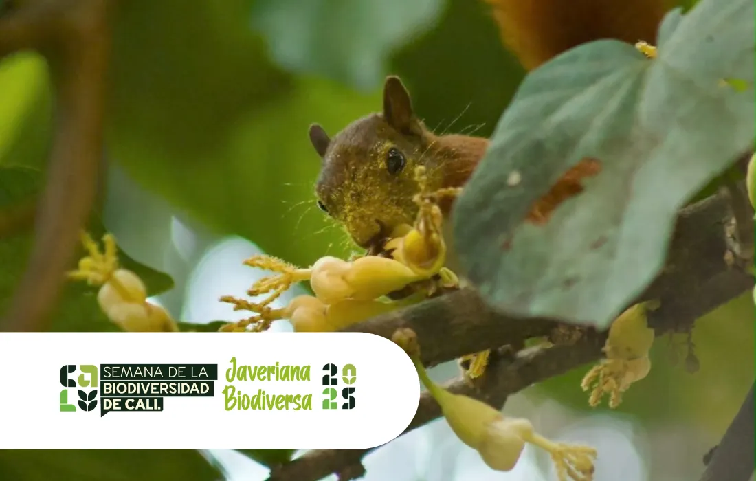 Javeriana Biodiversa 2025 Javeriana Biodiversa 2025