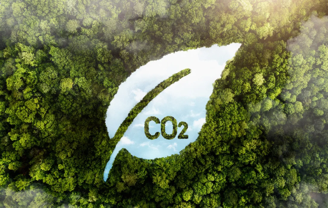 Becas en Secuestro de Carbono 2026 para estudiantes de maestría y doctorado Becas en Secuestro de Carbono 2026 para estudiantes de maestría y doctorado