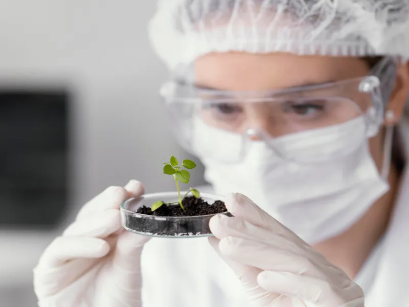 Becas en Secuestro de Carbono 2026 para estudiantes de maestría y doctorado Becas en Secuestro de Carbono 2026 para estudiantes de maestría y doctorado