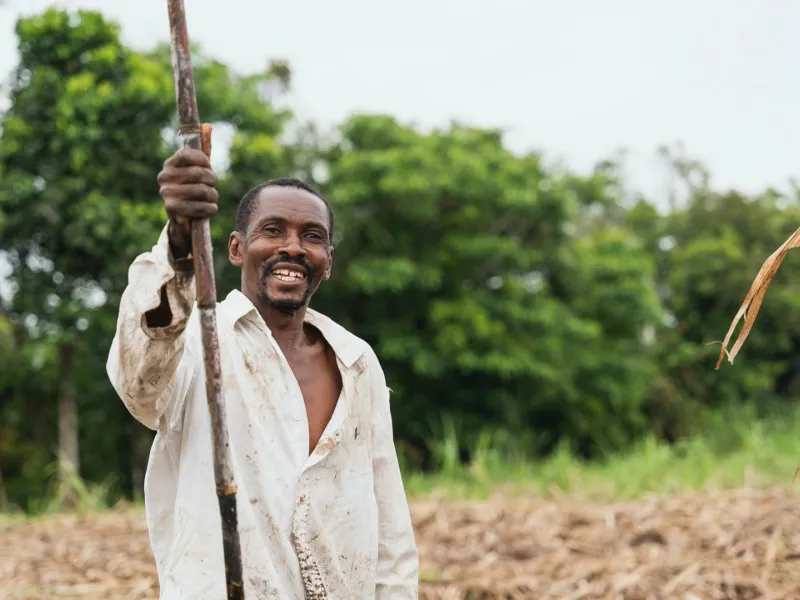 fortalecer las economías propiasfortalecer las economías propias fortalecer las economías propias